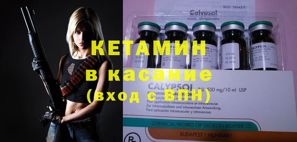 крисы Алексин