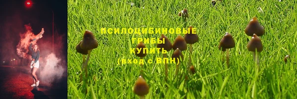 а пвп мука Алексеевка