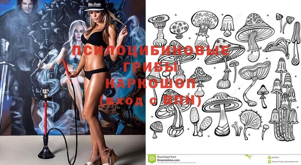 крисы Алексин