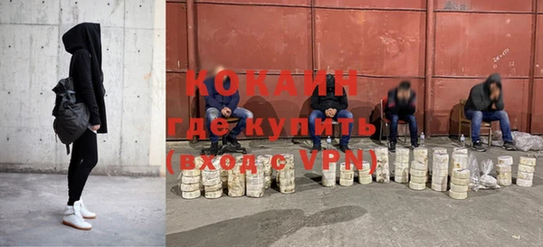 крисы Алексин