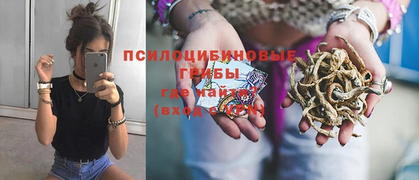 ГАЛЛЮЦИНОГЕННЫЕ ГРИБЫ Алзамай